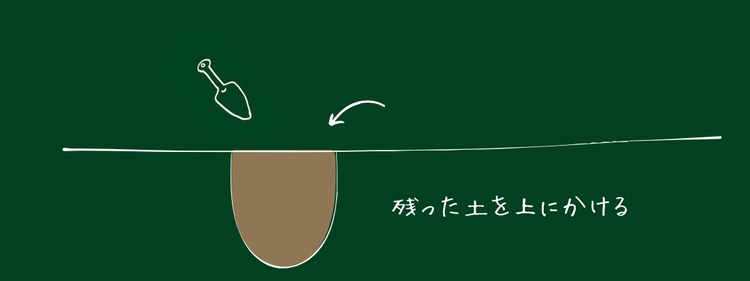 土を穴に戻している