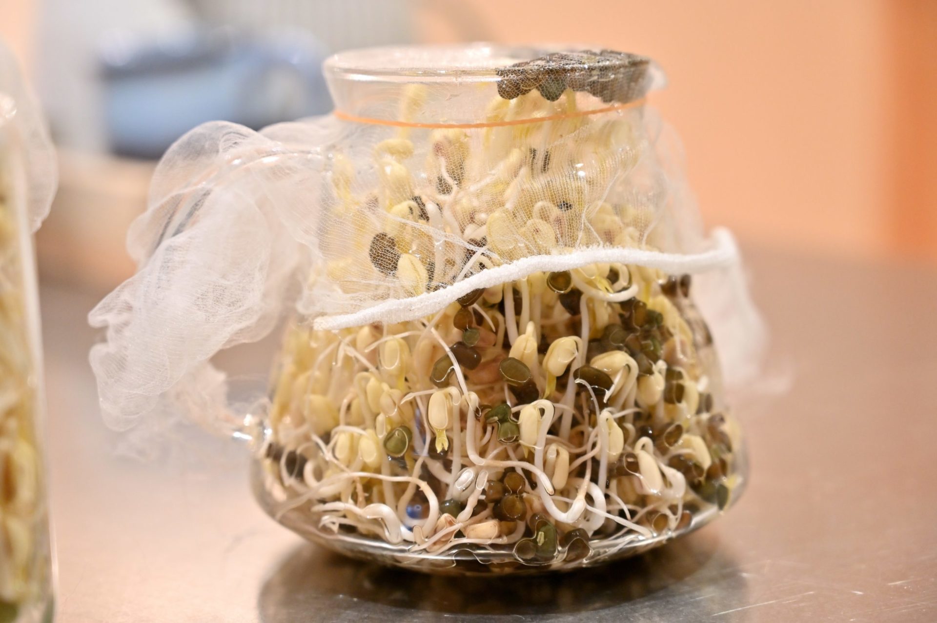 ビンに入っているブラックマッペ