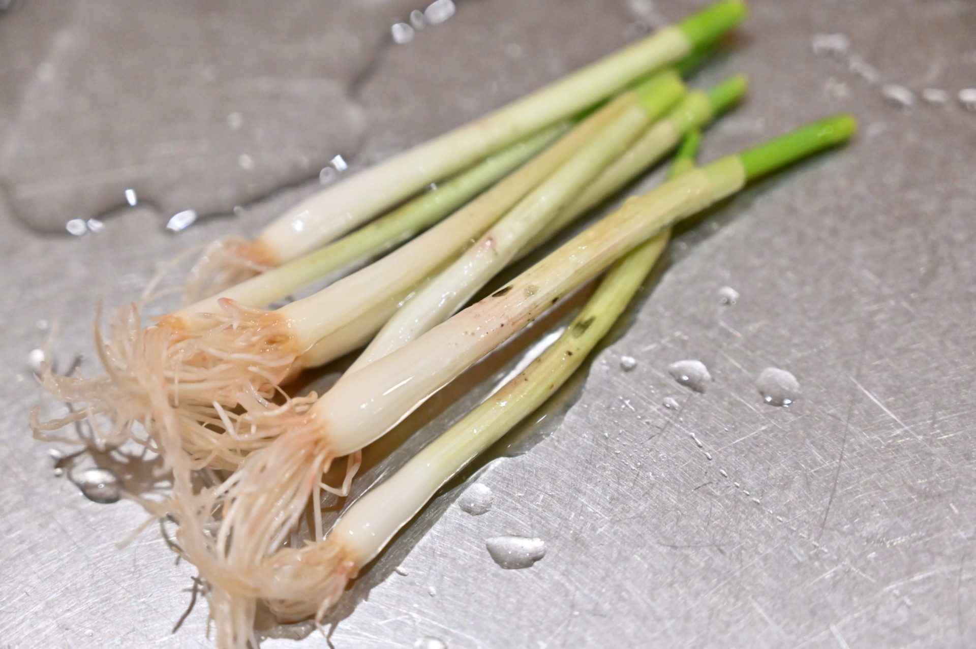 カビが生えたネギ