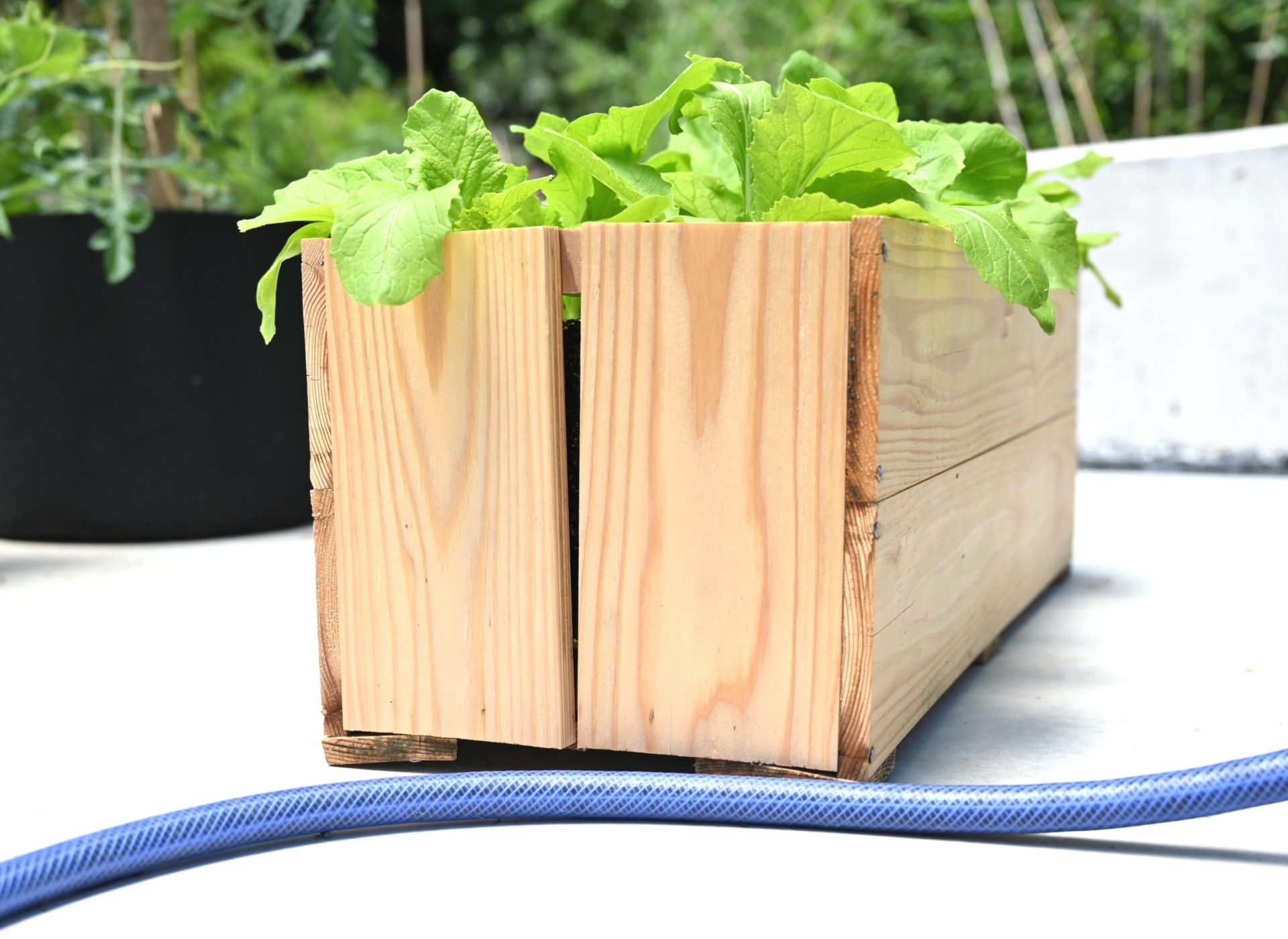 側面が割れている木製プランター