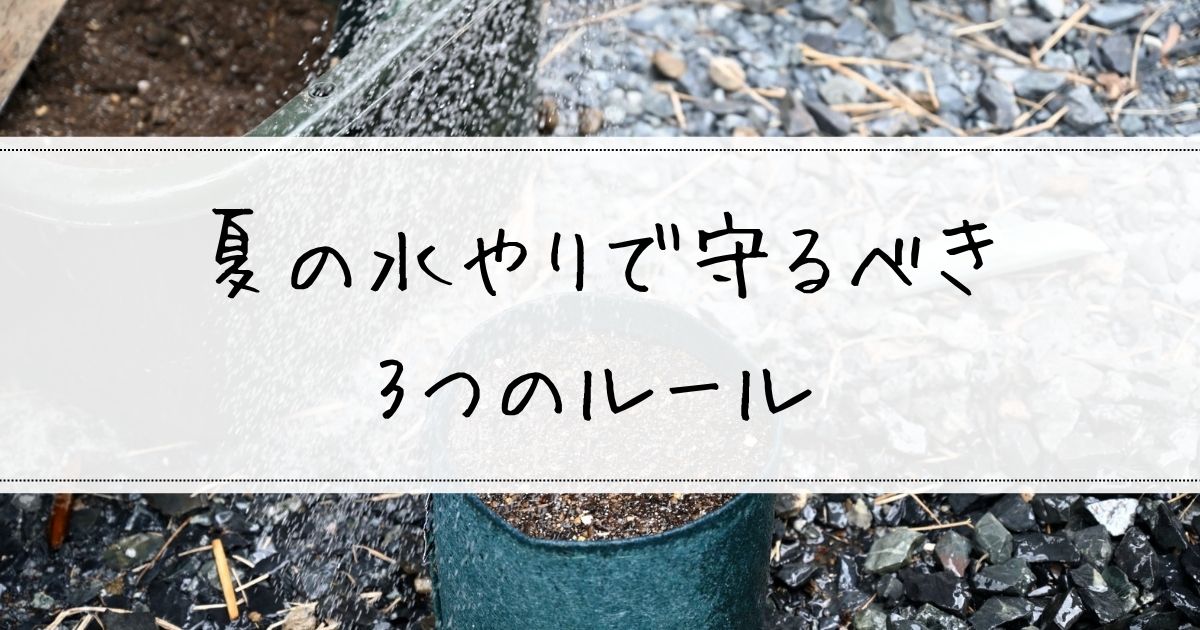 夏の家庭菜園は水やりが難しい！枯らさないために守るべき3つのルール
