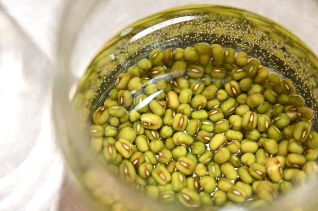 水に浸かっている緑豆