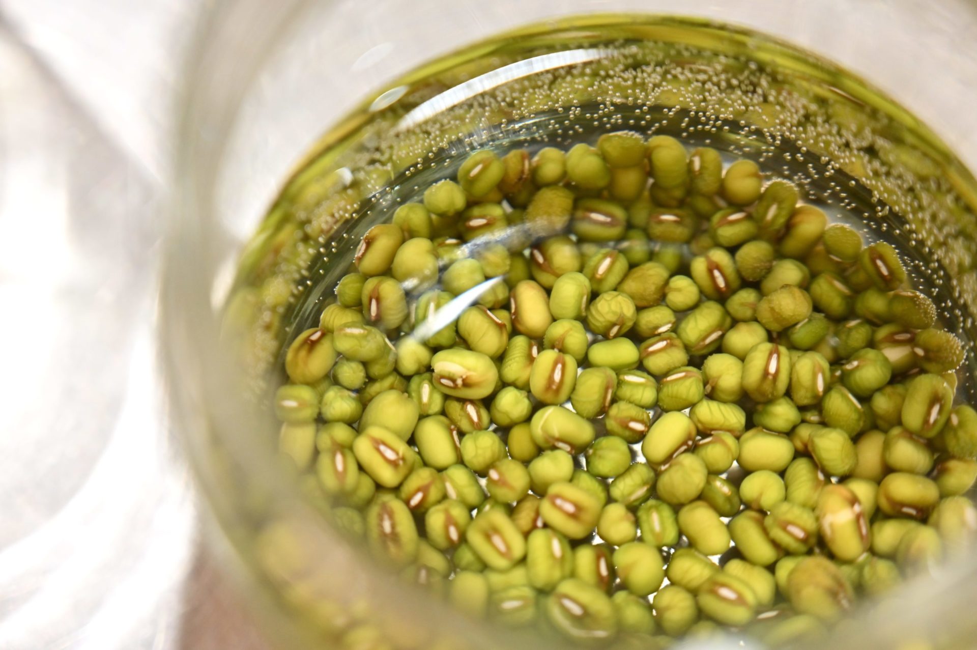 水に浸かっている緑豆