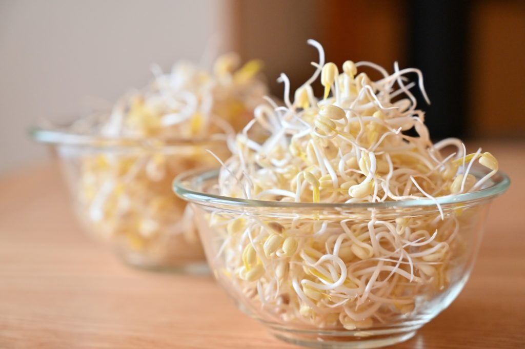 2つのガラスボウルに入ったもやし