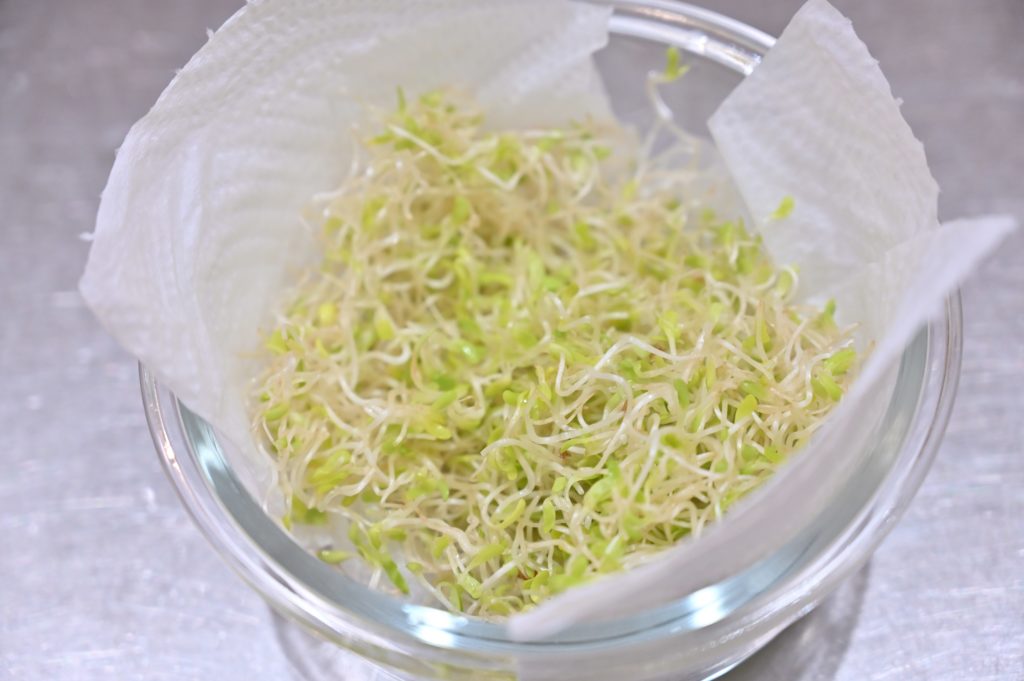 ガラス容器に入っているアルファルファ