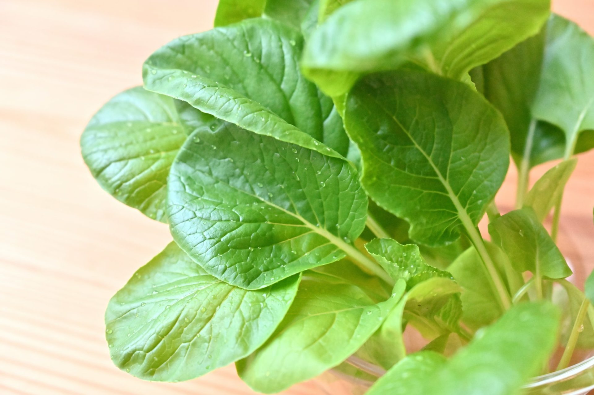 収穫したての水に濡れた小松菜
