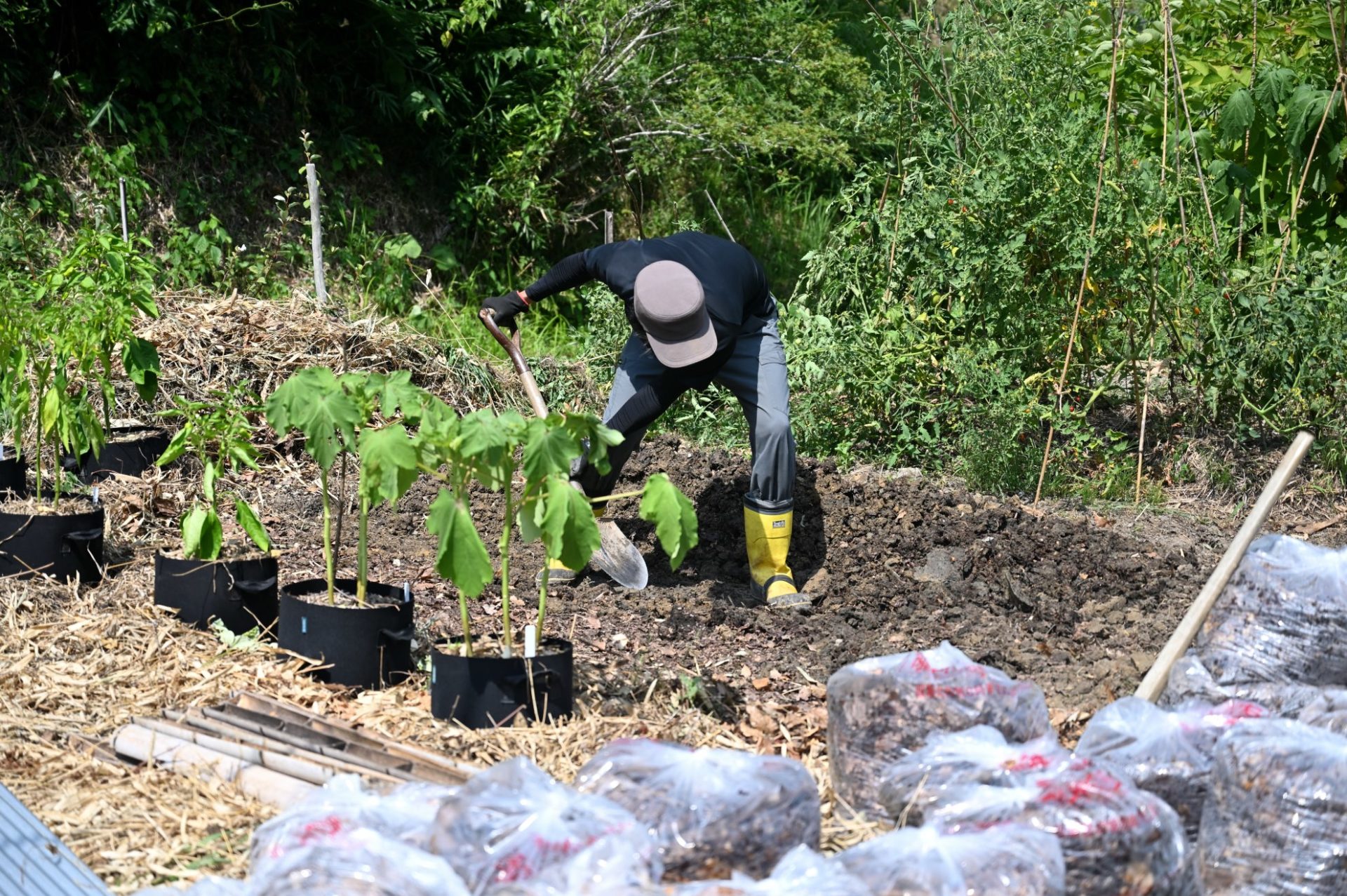 男性が畝を作っている