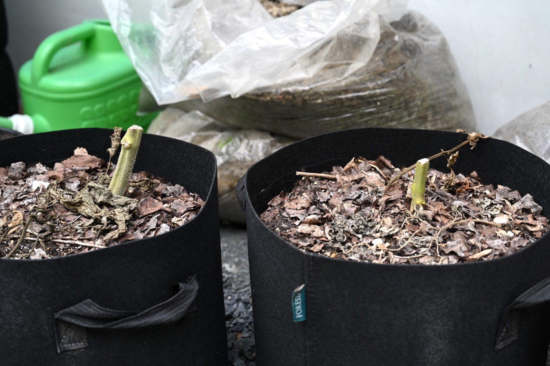 古い土が入ったプランターが２個並んでいる