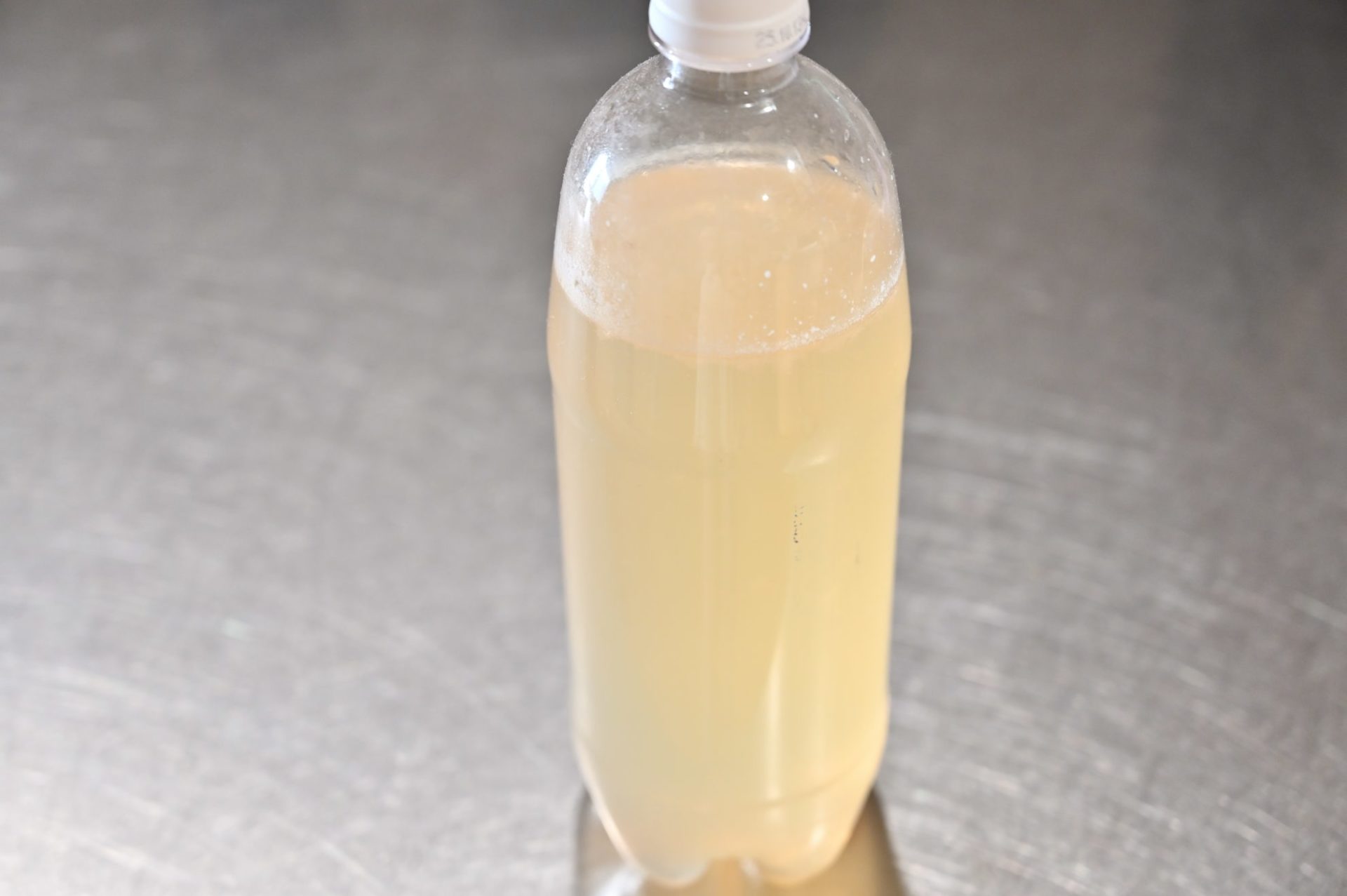 茶色く濁った納豆菌培養液