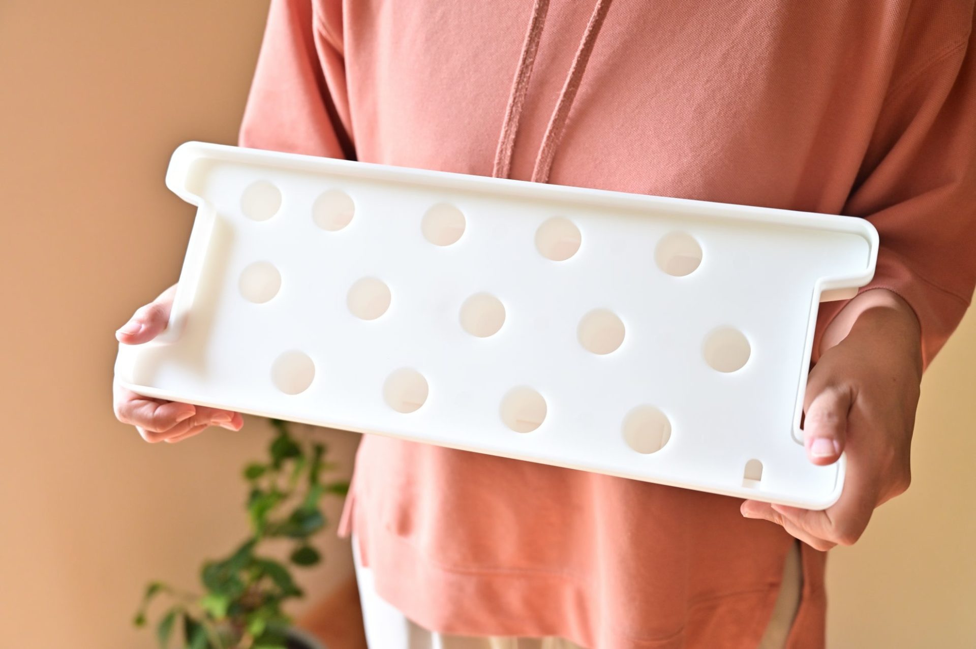 サーモンピンクの服を着た人が水耕栽培の栽培ケースを持っている