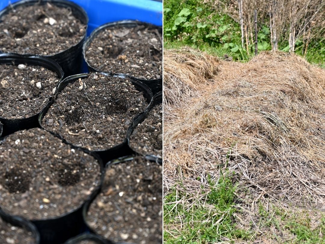 土が入ったポットと畑の畝
