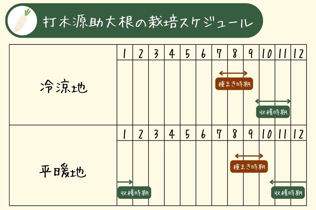 打木源助大根栽培スケジュール表