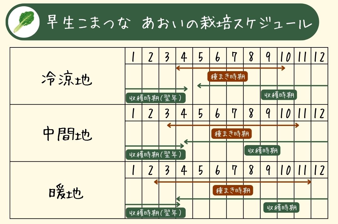 早生こまつなあおいのスケジュール表