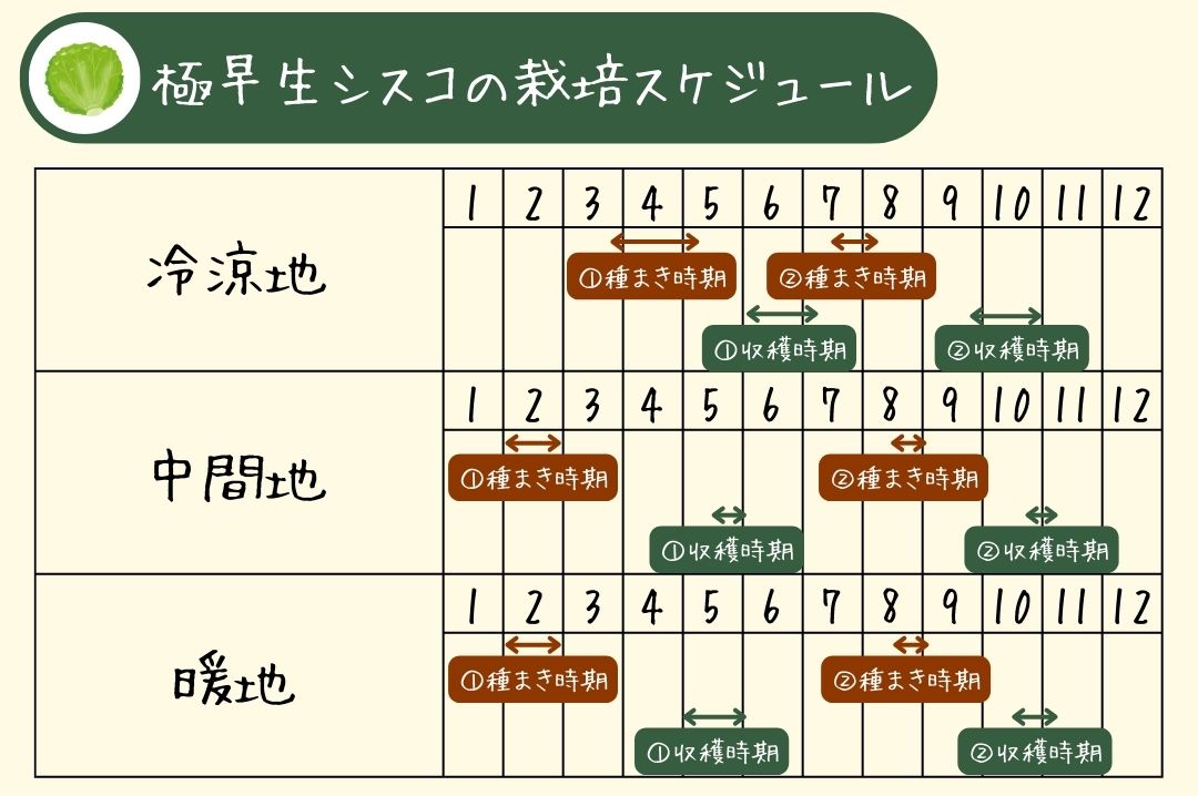 極早生シスコの栽培スケジュール表