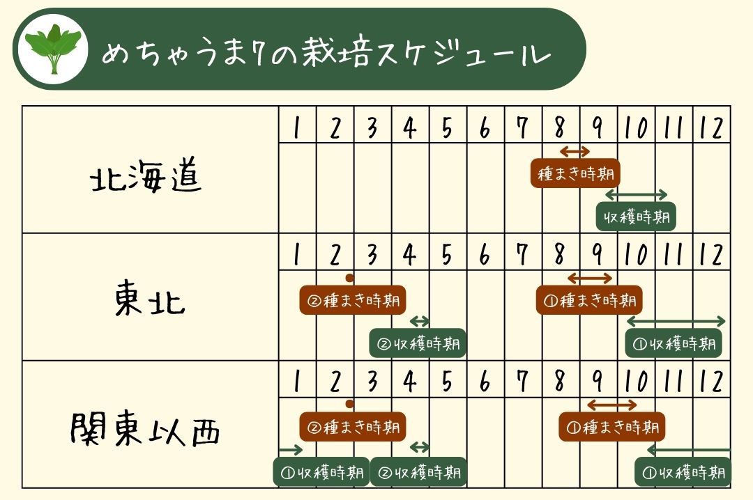 めちゃうま7の栽培スケジュール表2