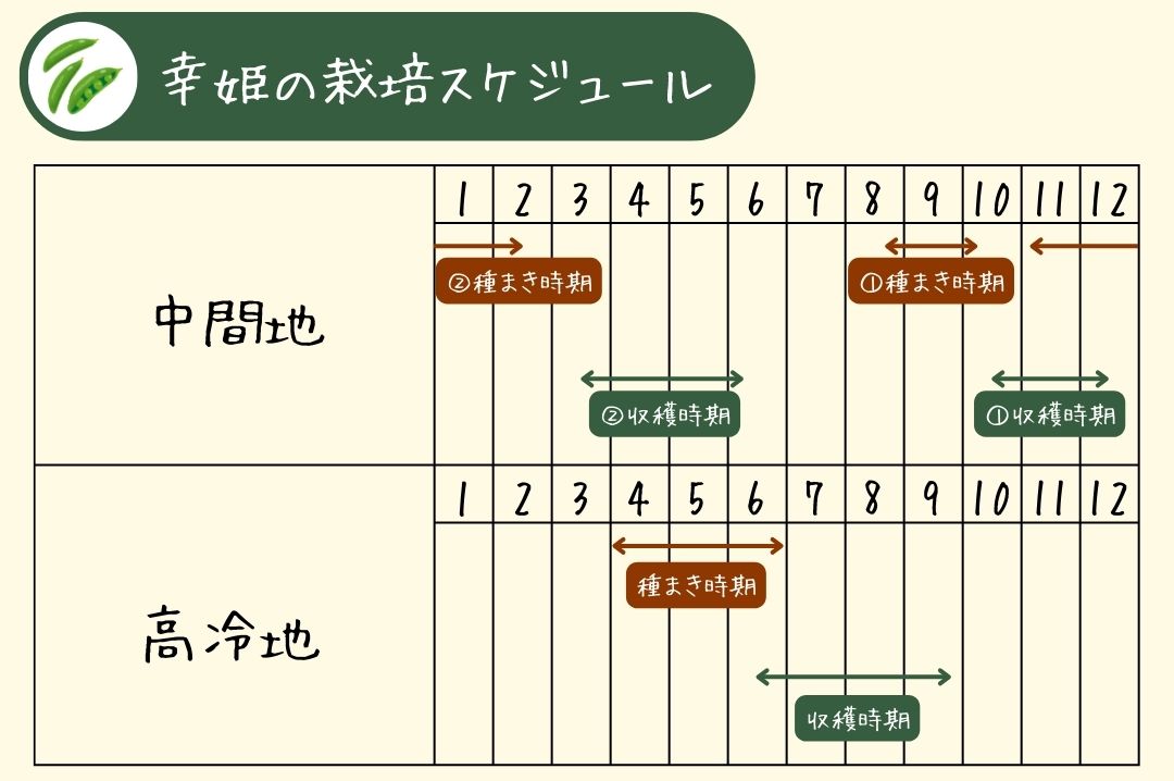 幸姫のスケジュール表