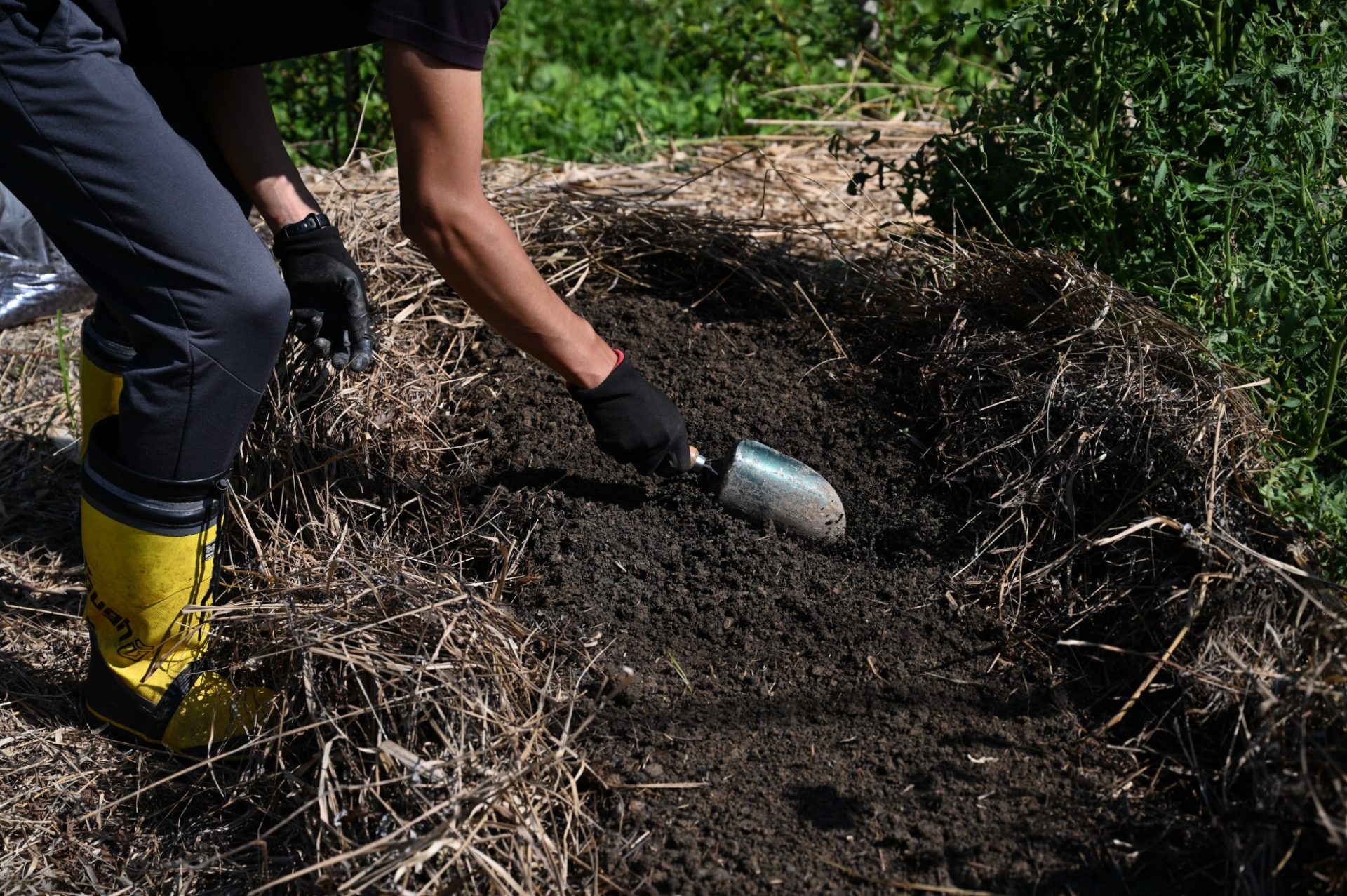 畑の土をスコップでほぐしている