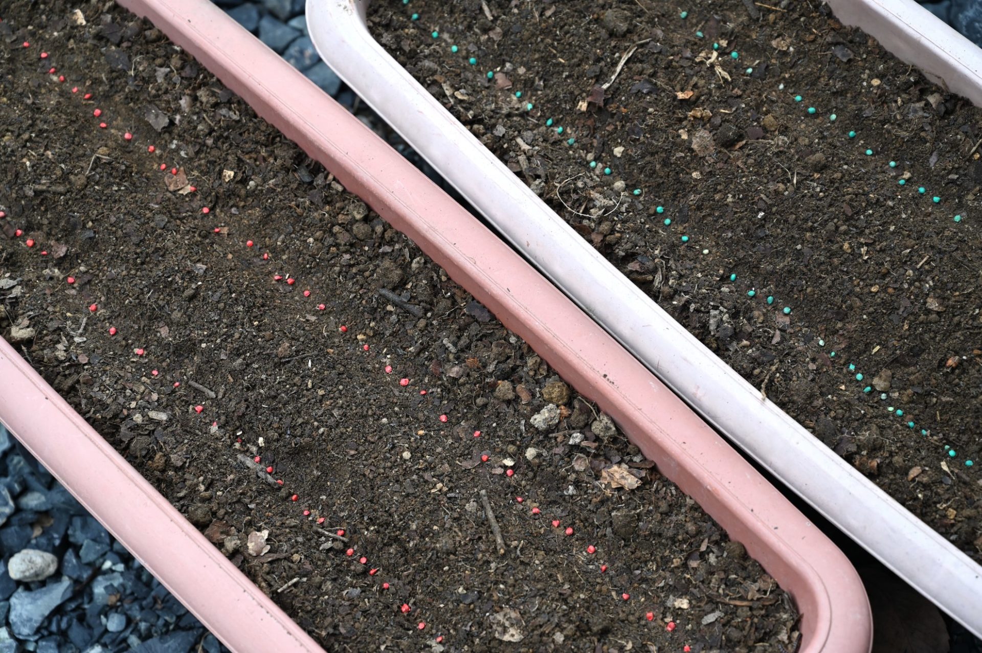 土を入れた2種類の長方形プランター