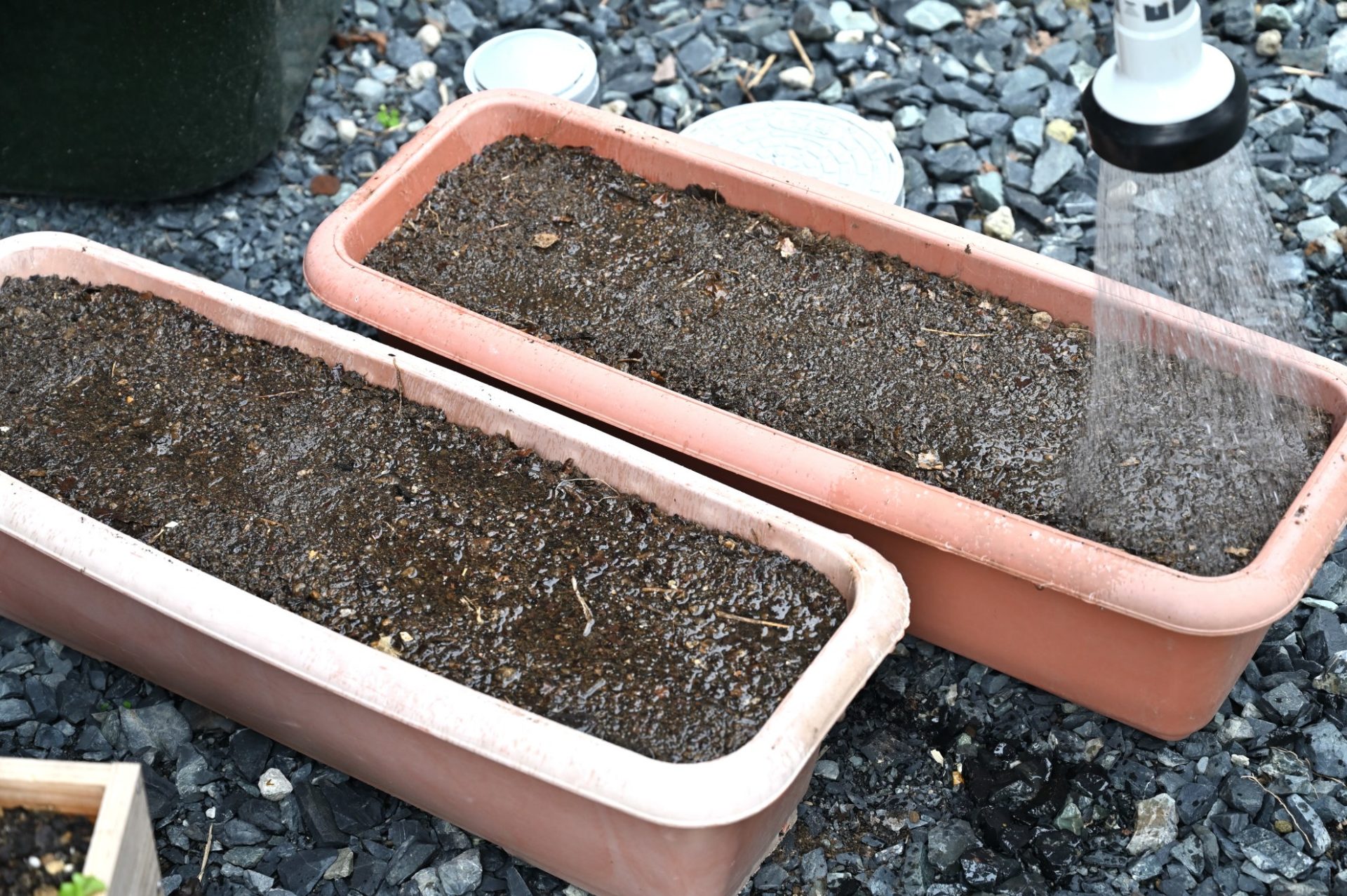 プランターに水をかけている