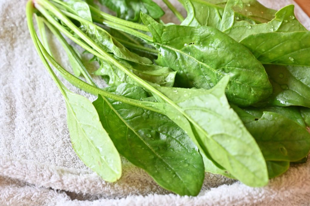 タオルの上に並んだめちゃうま7