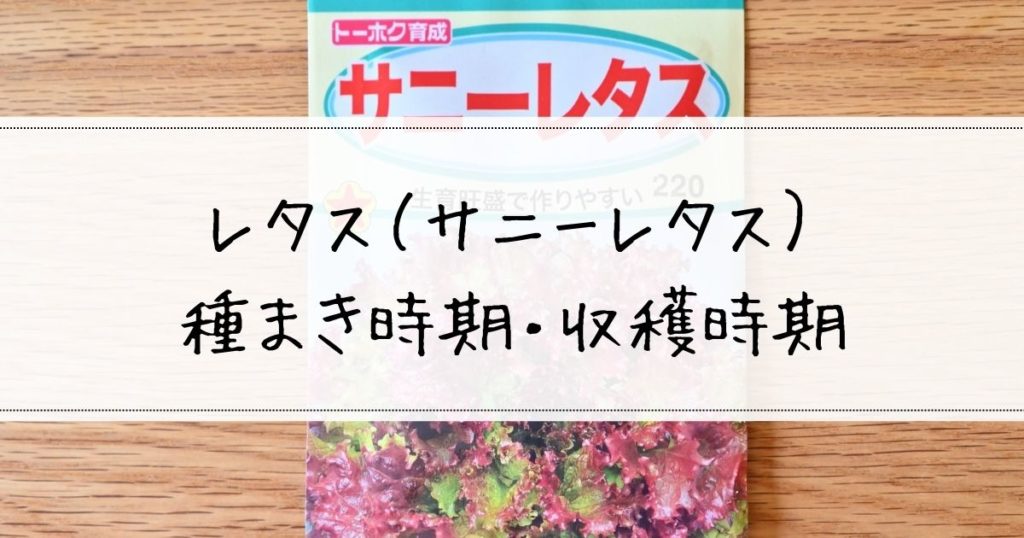 サニーレタスの栽培スケジュールサムネ