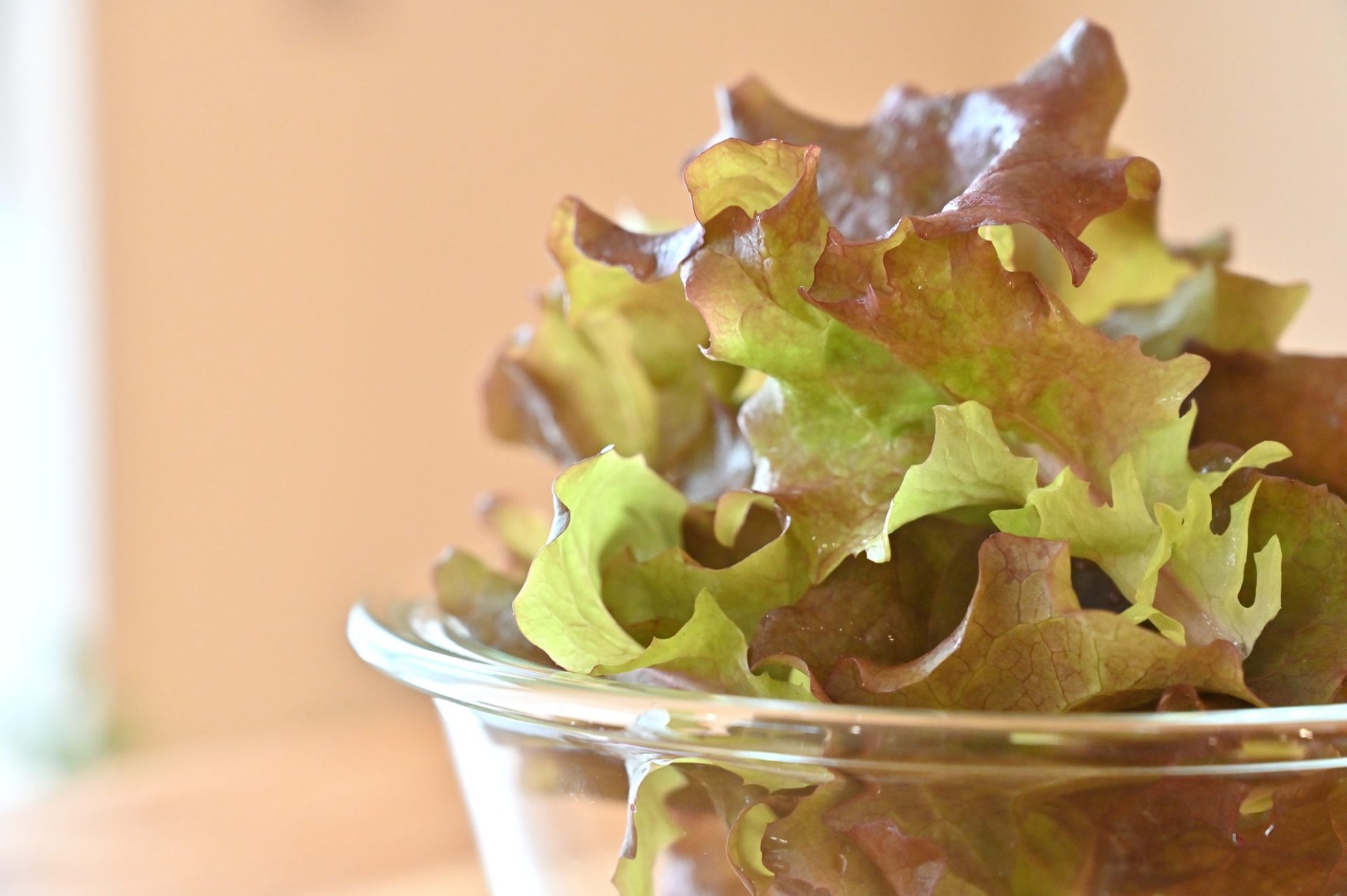 ガラスボウルに入ったサニーレタスの横顔