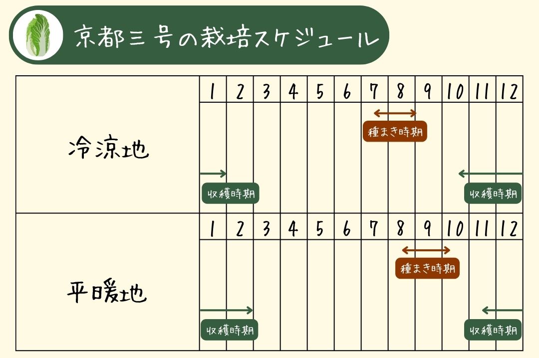 京都三号の栽培スケジュール表