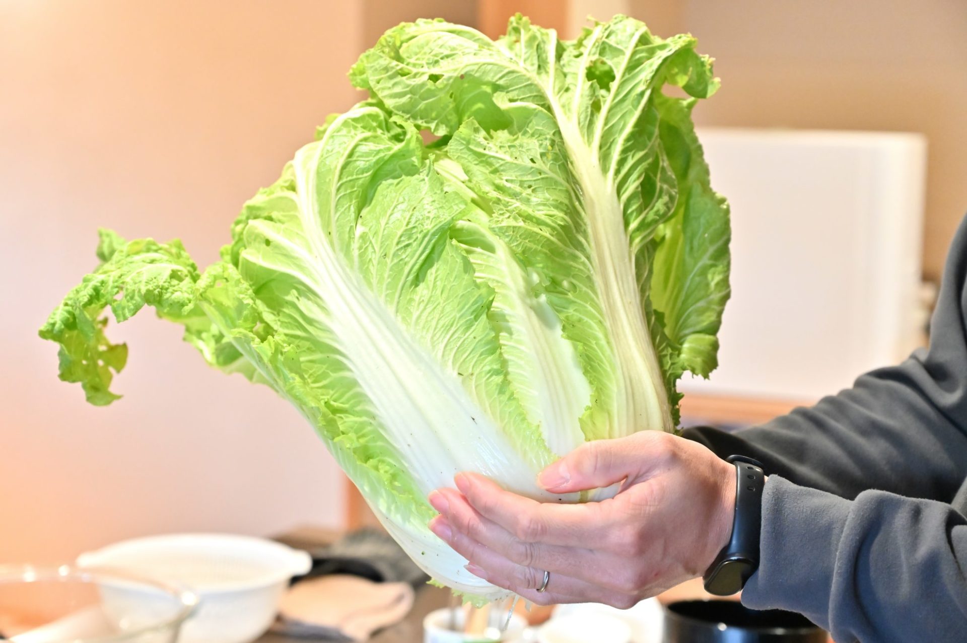 男性が白菜を持っている
