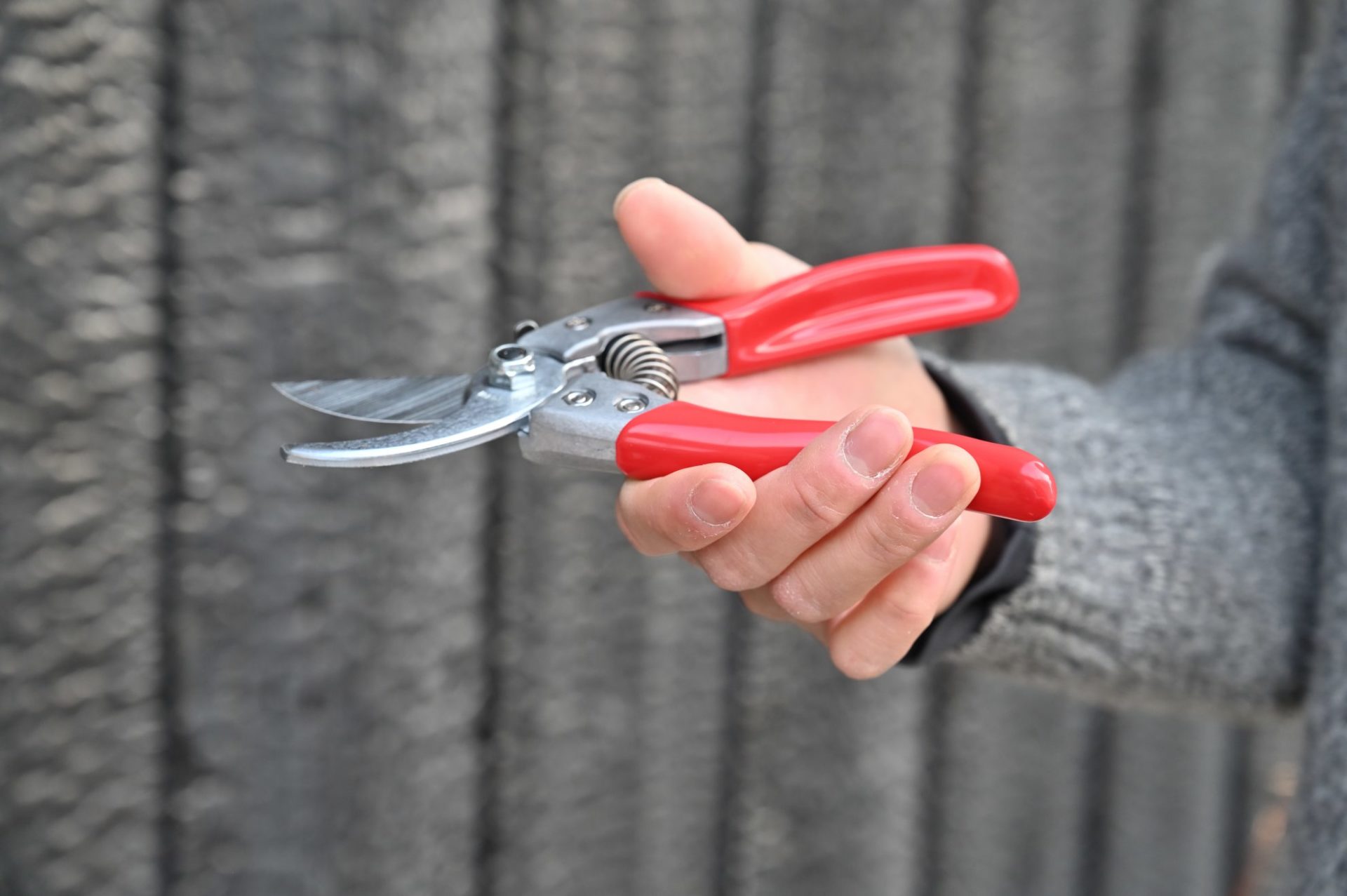 男性がアルス剪定鋏ブイエスエイトを軽く握っている
