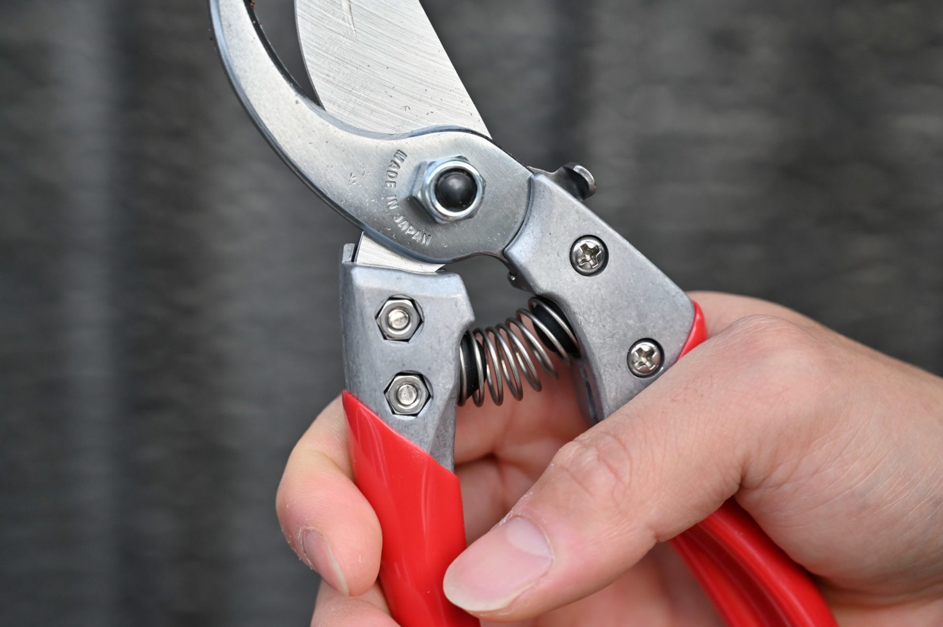 男性が剪定鋏ブイエスエイトをグッと握っている