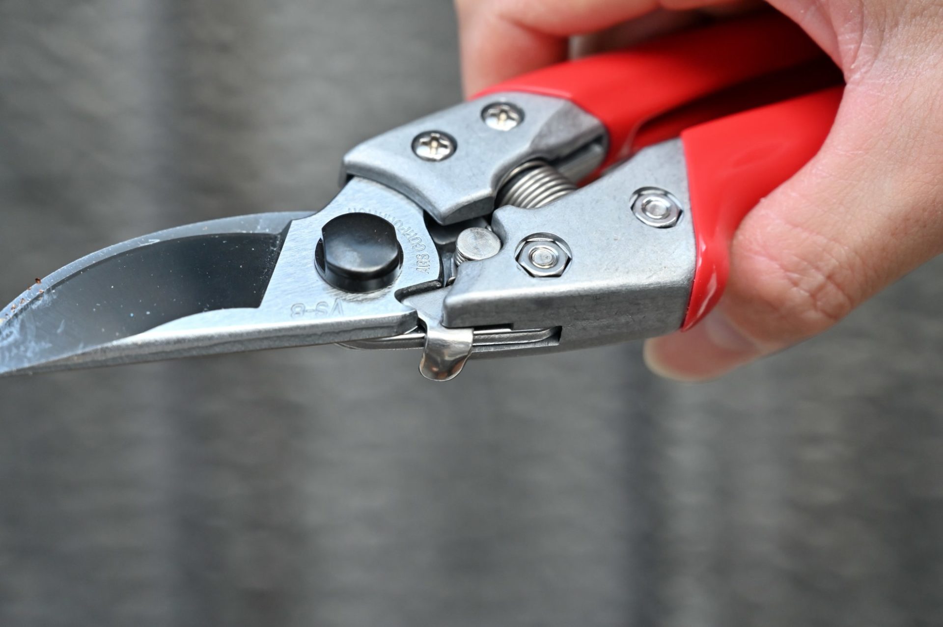 剪定鋏ブイエスエイトのロック部分