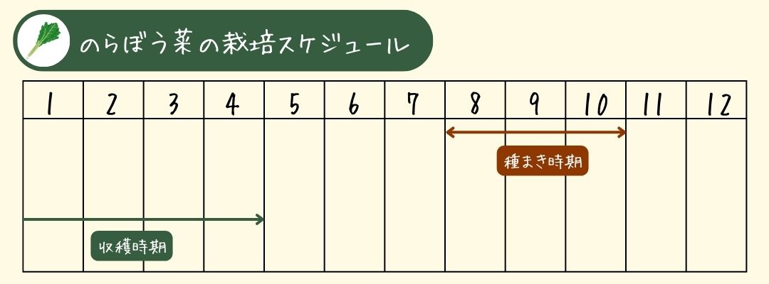 のらぼう菜の栽培スケジュール表