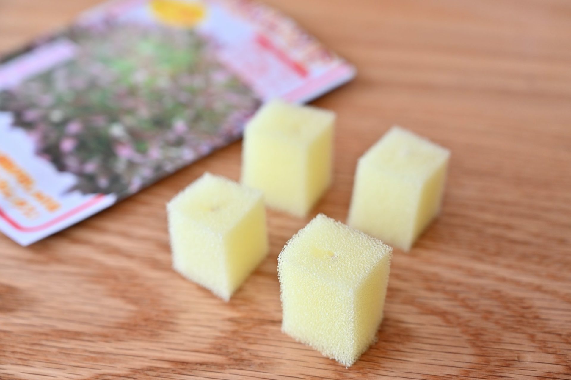 4個のスポンジとハンサムレッドの種袋