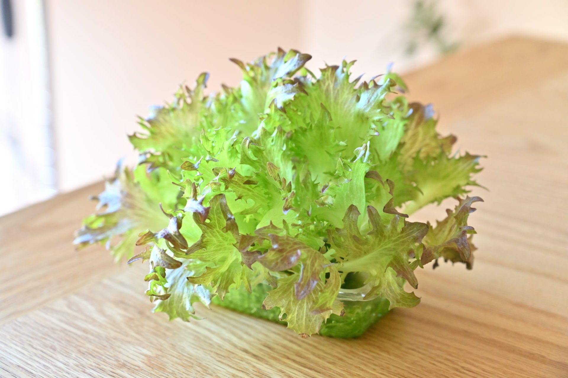 木のテーブルに置かれたハンサムレッド