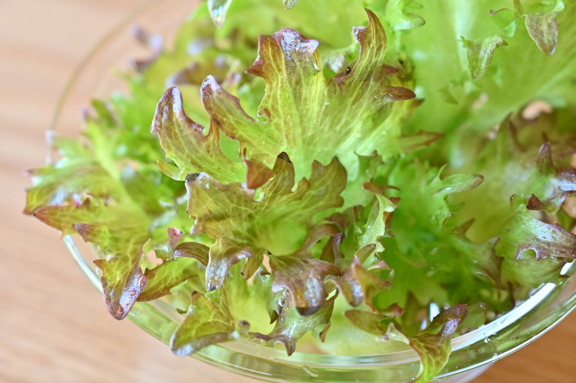 ボウルに入ったハンサムレッド