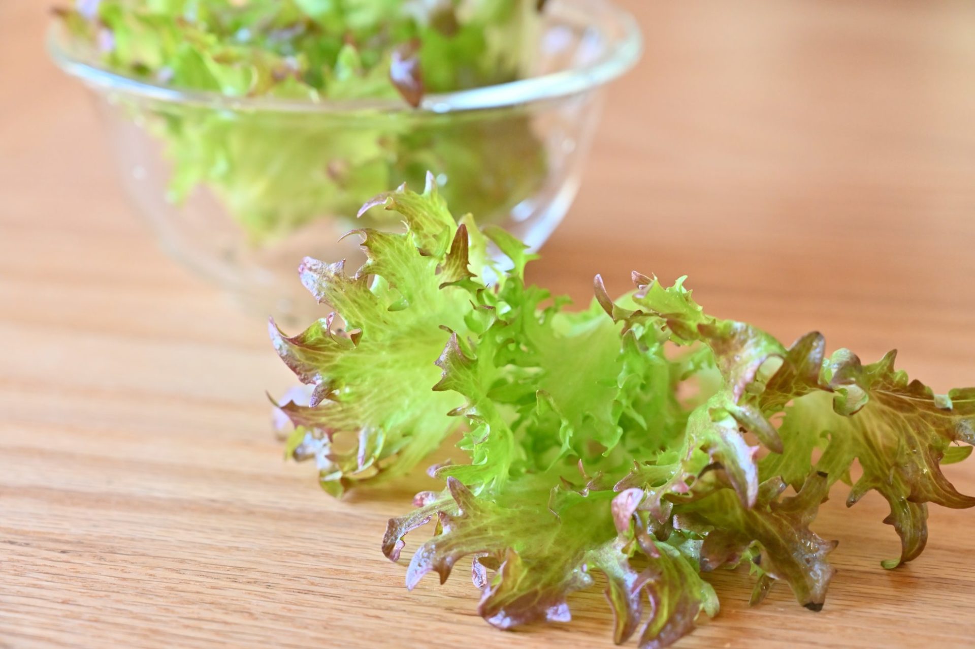 ボウルに入ったハンサムレッドと、机に直置きされたハンサムレッド